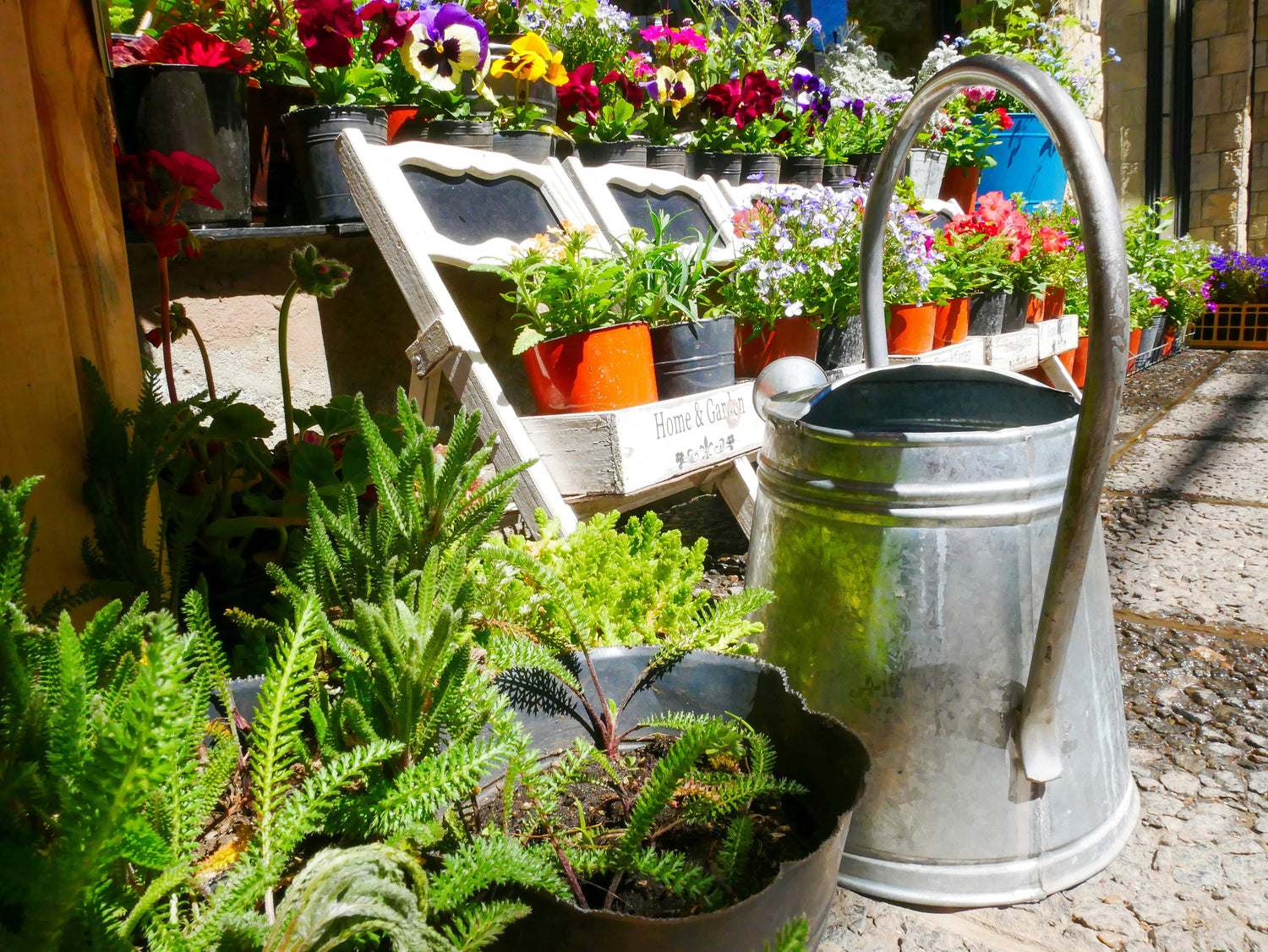 Garden Essentials